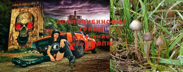 бутират Армянск